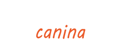 Procanina